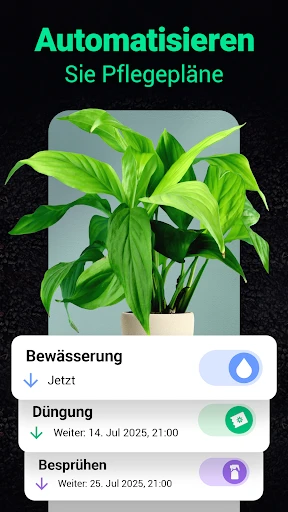 Plantum - Pflanzen bestimmen screenshot