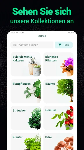 Plantum - Pflanzen bestimmen screenshot