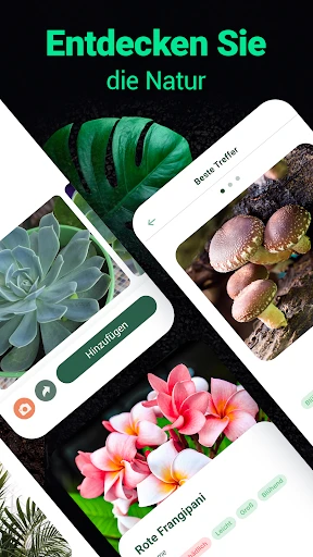 Plantum - Pflanzen bestimmen screenshot