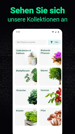 Plantum - Pflanzen bestimmen screenshot