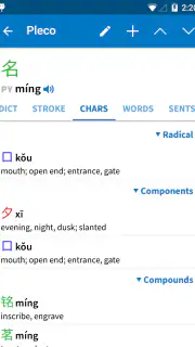 Pleco Chinese Dictionary screenshot 6