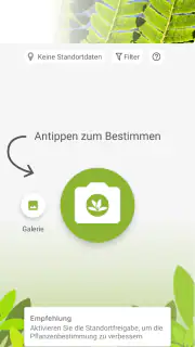 Pl@ntNet Pflanzenbestimmung screenshot 1