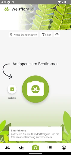 Pl@ntNet Pflanzenbestimmung screenshot