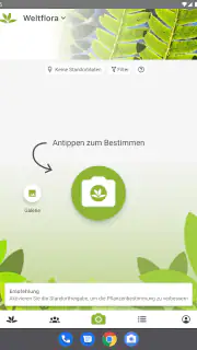 Pl@ntNet Pflanzenbestimmung screenshot 5