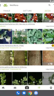 Pl@ntNet Pflanzenbestimmung screenshot 7