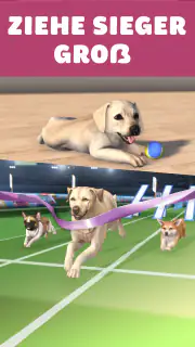 Pocket Paws: Meine süßen Hunde screenshot 3