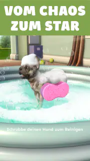 Pocket Paws: Meine süßen Hunde screenshot 5