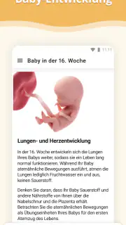 Schwangerschafts-App screenshot 2