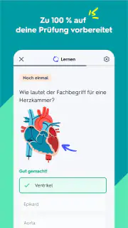 Quizlet: Karteikarten mit KI screenshot 3