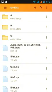Rapidgator.net Dateimanager screenshot 3