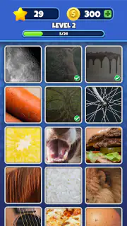 Ratet Es! Zoom Foto Spiel screenshot 3