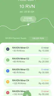RAVEN Miner by NVS screenshot 5