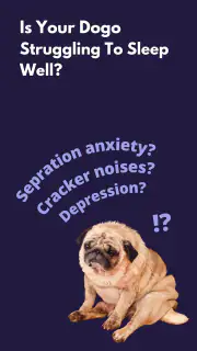 Relax My Dog : Calmly screenshot 1