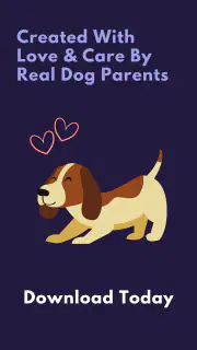 Relax My Dog : Calmly screenshot 5