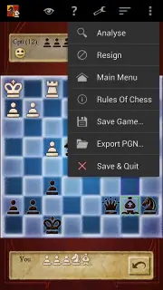 Schach (Chess) screenshot 7