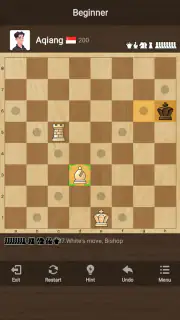 Schach: Klassisches Chess screenshot 8