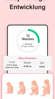 Schwangerschaft Rechner screenshot 4