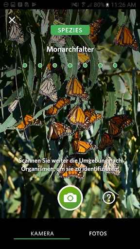 Seek von iNaturalist screenshot