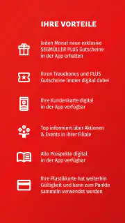 SEGMÜLLER screenshot 7