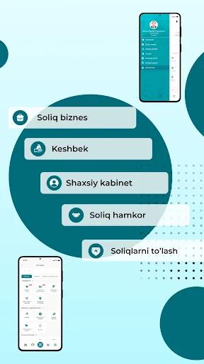 Soliq screenshot