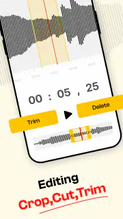 Sprachrekorder & Sprachnotizen screenshot 4