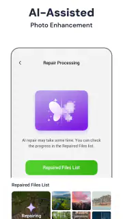 StellarRecovery screenshot 5