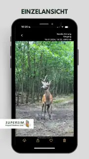 SUPERSIM screenshot 3