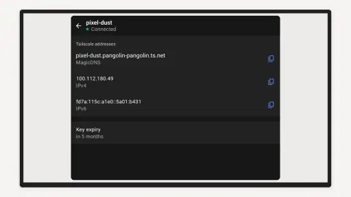 Tailscale screenshot 7
