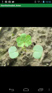 top Unkraut screenshot 2