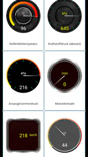 Tor OBD2 Diagnose screenshot 5
