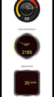 Tor OBD2 Diagnose screenshot 6