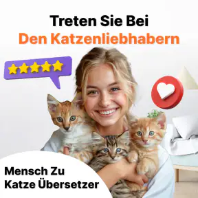 Übersetzer von Mensch zu Katze screenshot 5