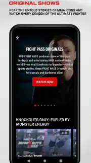 UFC screenshot 6
