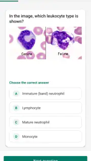 Vetmemo screenshot 8