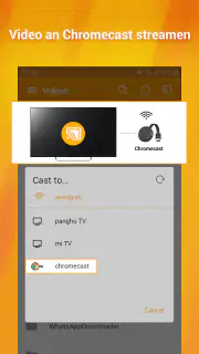 Video / Bild auf TV übertragen screenshot 4