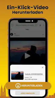Video Downloader Alle Formate screenshot 2