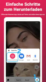 Video-Downloader für Pinterest screenshot 2