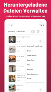 Video-Downloader für Pinterest screenshot 4