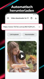 Video Downloader für TT screenshot 5