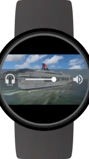 Video Gallery for Wear OS screenshot 2