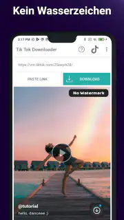 Video Ohne Wasserzeichen TT screenshot 6