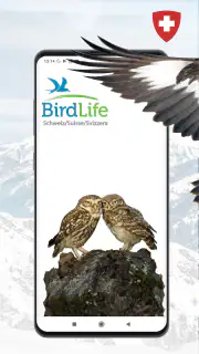 Vogelführer Birdlife Schweiz screenshot 1