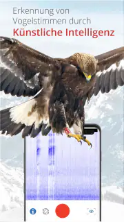 Vogelführer Birdlife Schweiz screenshot 2