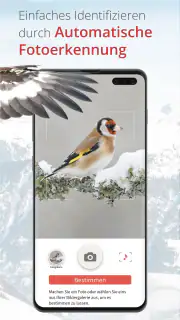 Vogelführer Birdlife Schweiz screenshot 3