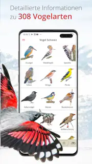Vogelführer Birdlife Schweiz screenshot 5