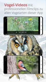 Vogelführer Birdlife Schweiz screenshot 6