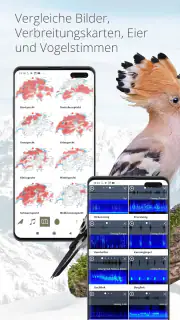 Vogelführer Birdlife Schweiz screenshot 7