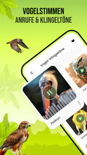 Vogelstimmen screenshot 1