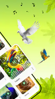 Vogelstimmen screenshot 2