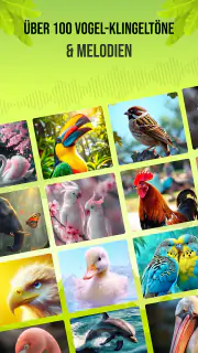 Vogelstimmen screenshot 3